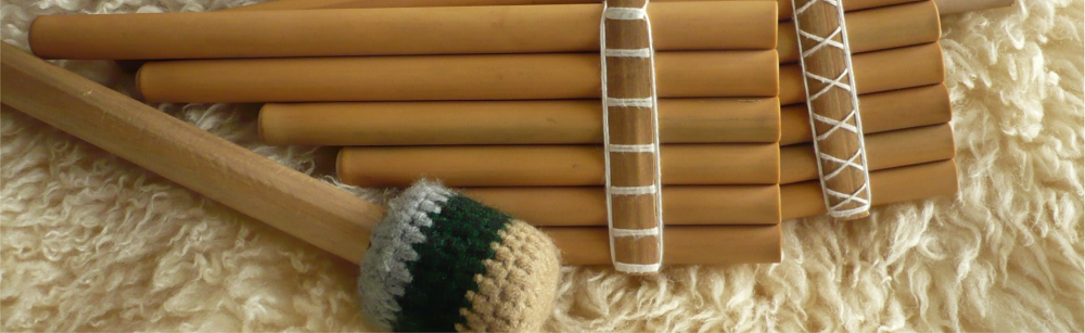 El autor. Por Edgardo Civallero