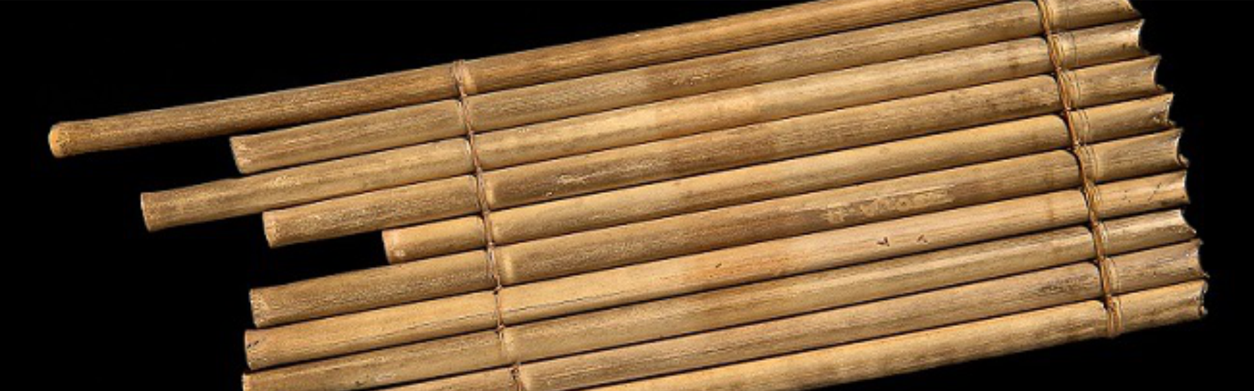 Astillas de un mundo de sonidos. Por Edgardo Civallero