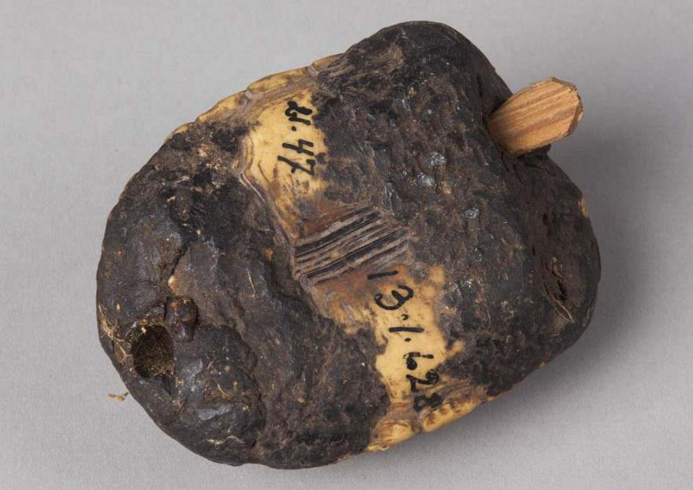 Bitácora de un músico. El blog de Instrumentarium. Nota 013. Por Edgardo Civallero