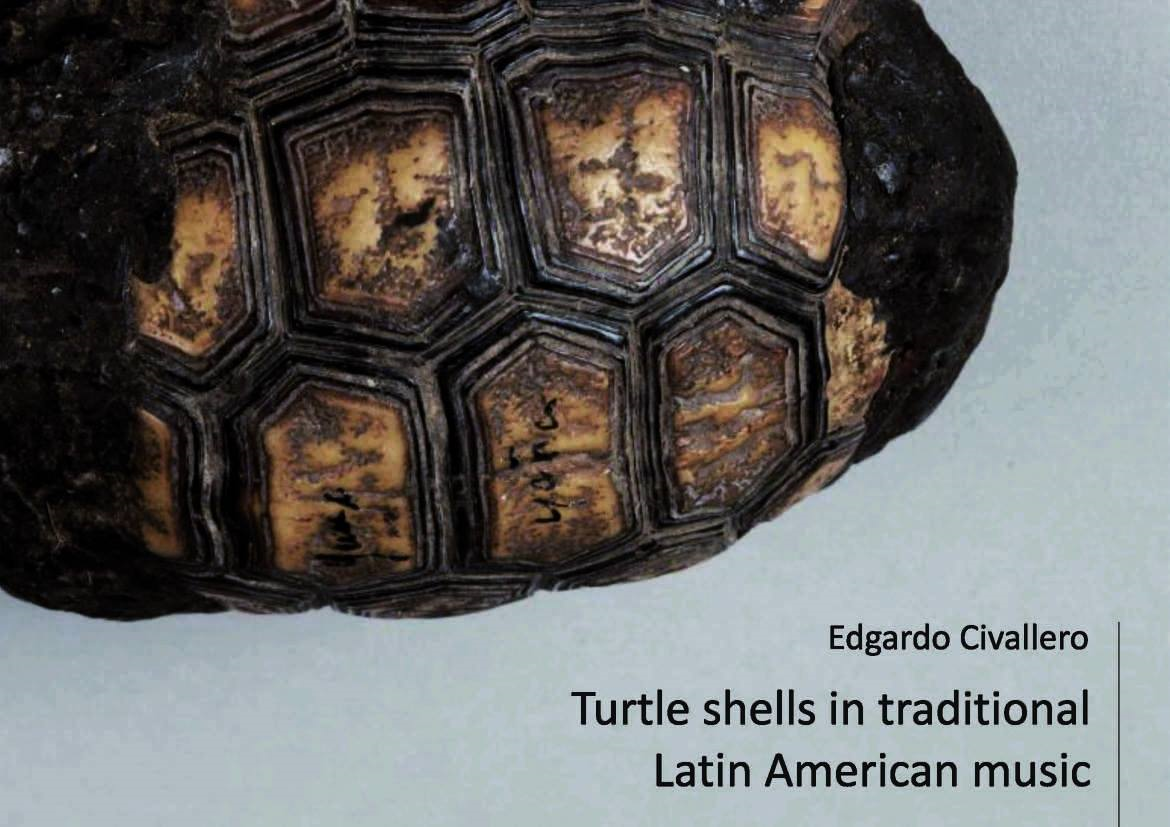 Turtle shells in traditional Latin American music