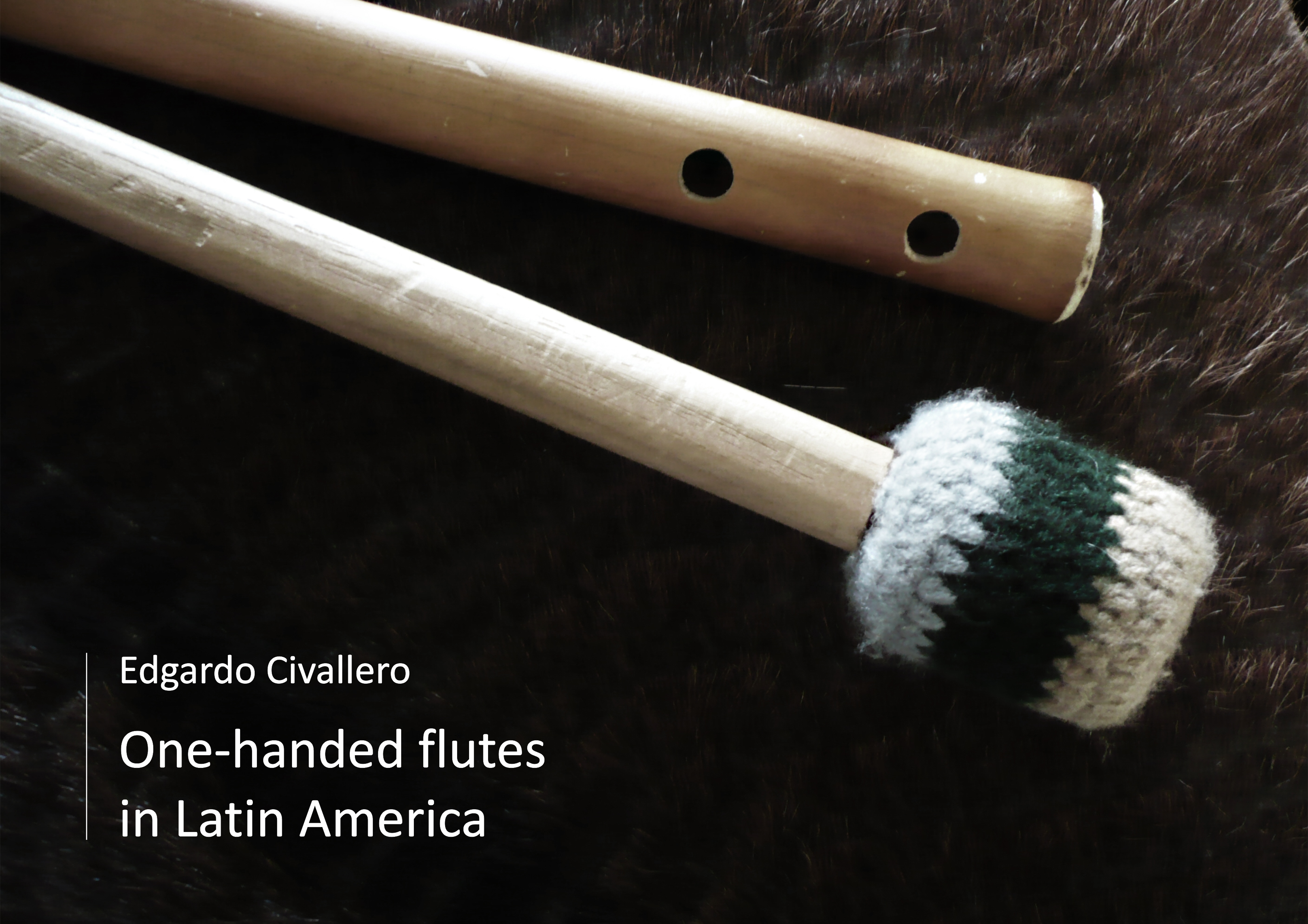 Digital books on music. By Edgardo Civallero