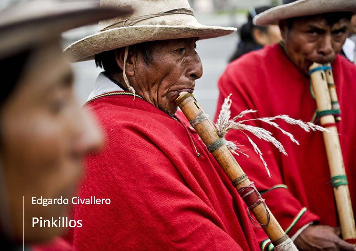 Pinkillos: un acercamiento inicial